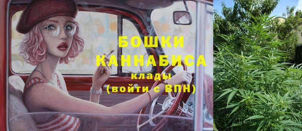ГАЛЛЮЦИНОГЕННЫЕ ГРИБЫ Вязники