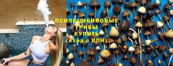 ГАЛЛЮЦИНОГЕННЫЕ ГРИБЫ Вязники
